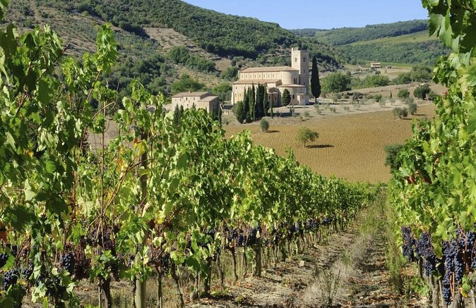 Small-Group Brunello Di Montalcino Wine-Tasting Trip From Siena
