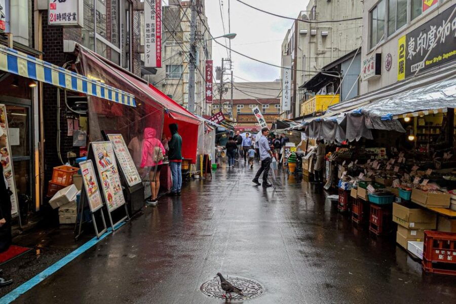 Small Group Tsukiji Fish Market Food Tour - Good To Know