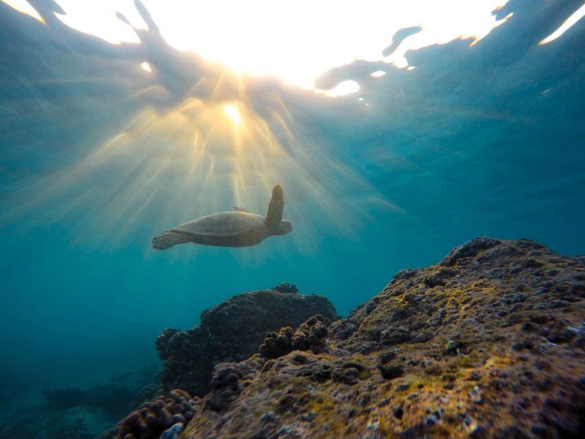 Snorkeling in Hikkaduwa - Good To Know