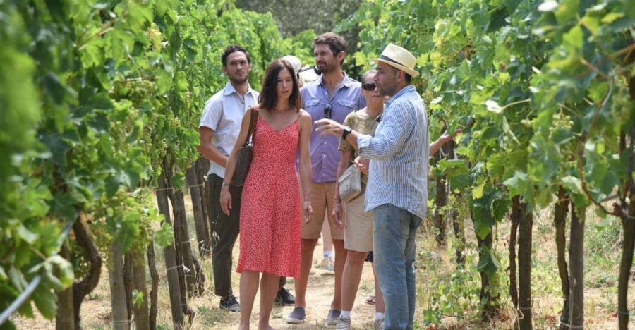 Sorrento: Farm Tour With Cheese Tasting & Pizza Making Class - Good To Know