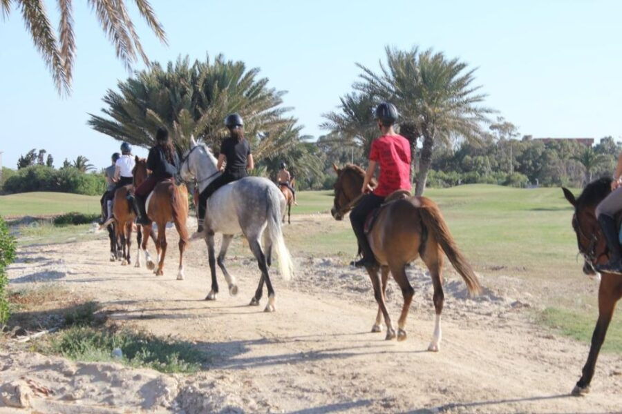 Sousse/Monastir: Private Horseback Riding Trip With Transfer - Good To Know