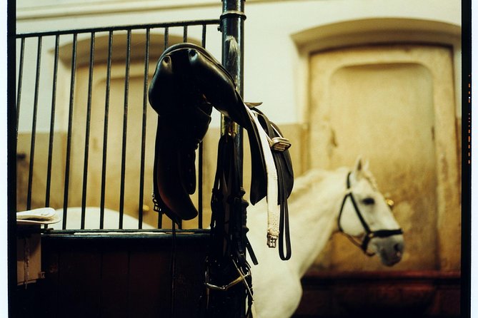 Spanish Riding School Vienna Guided Tour - Good To Know
