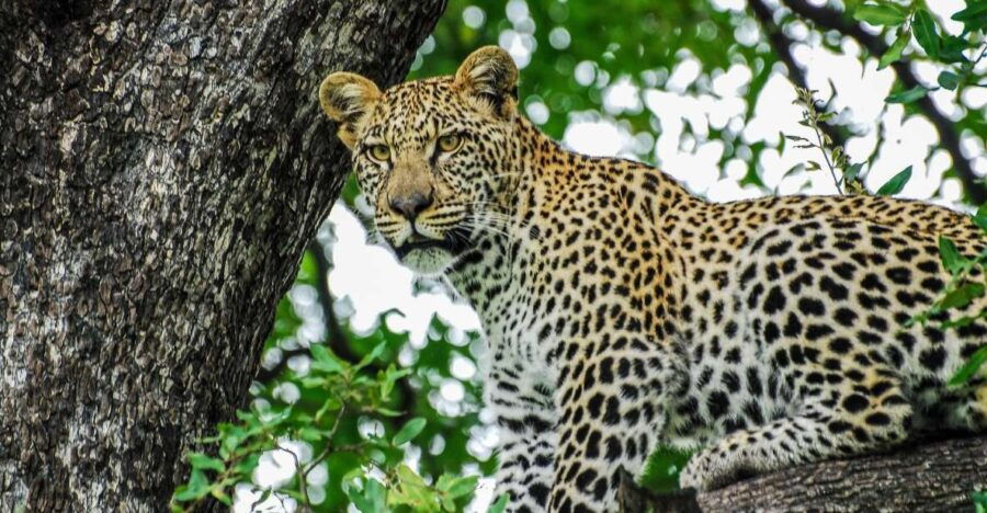 Sri Lanka 7 Days Beaten Path Tour - Good To Know