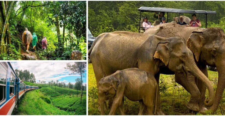 Sri Lanka Green Bless- Ultimate 2 Days Trip to Enjoy Nature - Good To Know