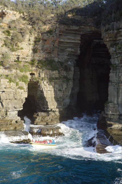 Tasman Peninsula Tour, Cruise & Port Arthur Historic Site - Good To Know