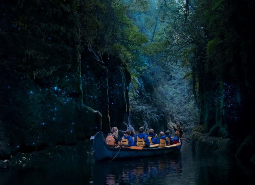 Tauranga: Glowworm Tour in a Big Kanu (canoe) - Good To Know
