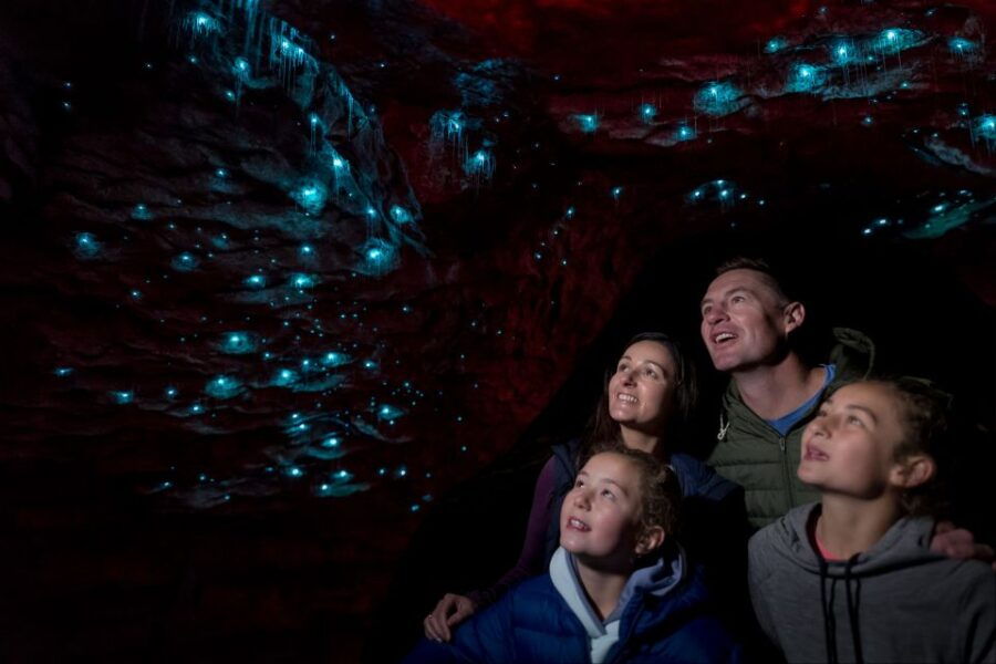 Te Anau: Glowworm Caves Guided Tour - Good To Know