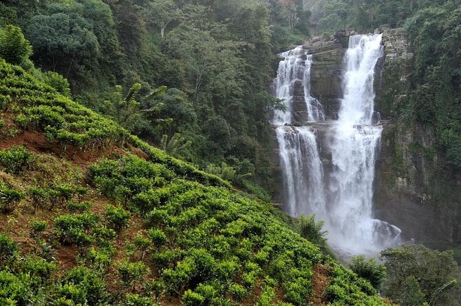 Tea Factories And Waterfalls Tour