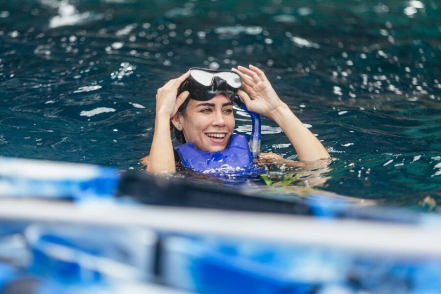 Tenerife: Dolphin Kayak Safari and Sea Turtle Snorkeling - Good To Know