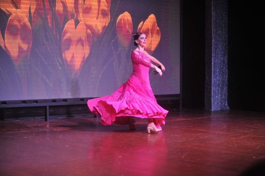 Tenerife: Flamenco Performance at Teatro Coliseo - Good To Know