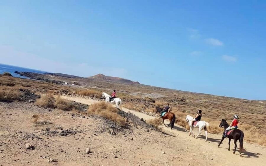 Tenerife: Horseback Ride With Instructor - Good To Know
