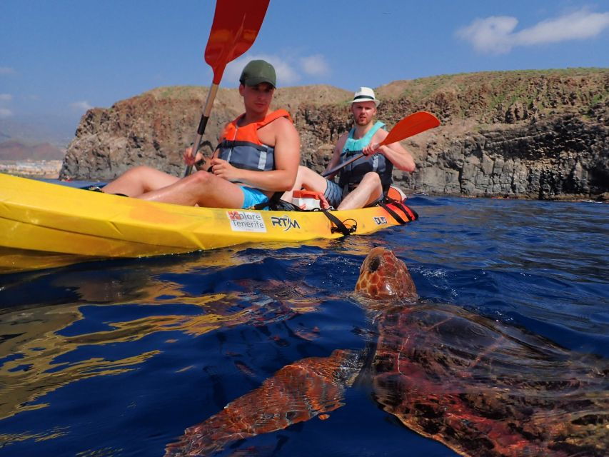 Tenerife: Kayaking and Snorkeling With Turtles - Good To Know