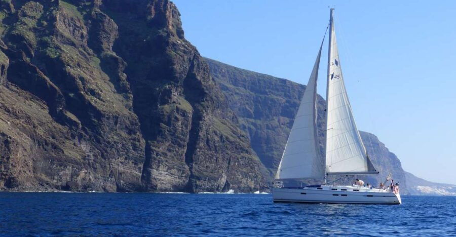 Tenerife: Los Gigantes Whale Watching Cruise by Sail Boat - Good To Know