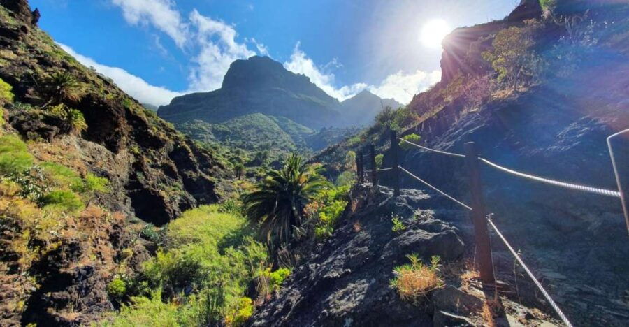 Tenerife : Masca Ravine Breathtaking Hiking Adventure - Good To Know