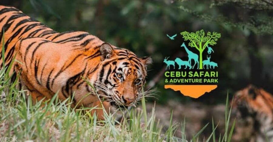 The BEST Danao City Tours and Things to Do - Good To Know