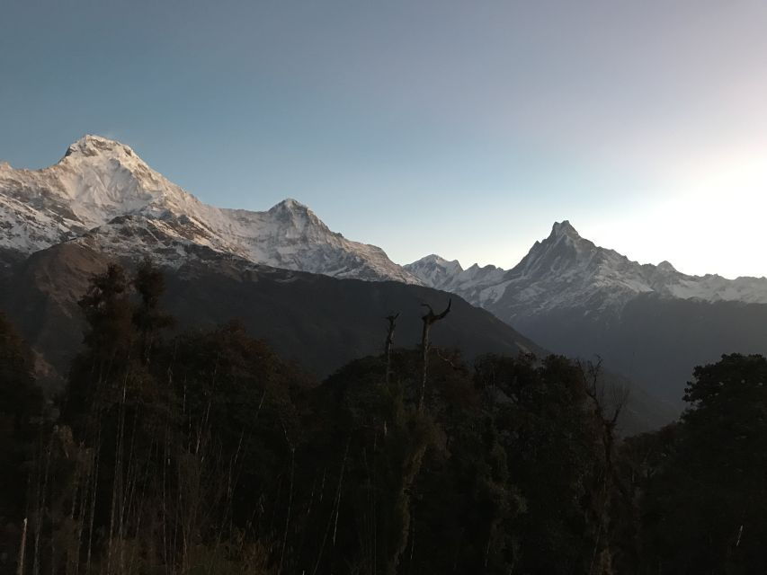 The BEST Dhampus Tours and Things to Do in  – FREE Cancellation