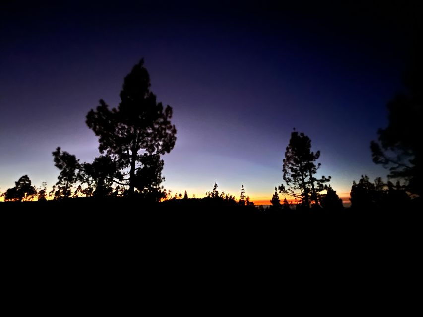 The BEST Santa Cruz De Tenerife Tours and Things to Do in  - FREE Cancellation - Good To Know