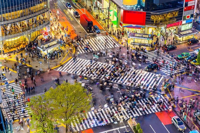 The Flavors of Shibuya Private Tour: Sushi & Sake - Good To Know