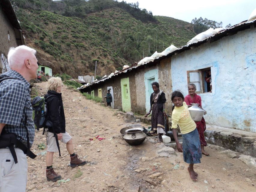 The Pekoe Trail, Stage 12, Trekking Fm Udaweriya To Haputale - Good To Know