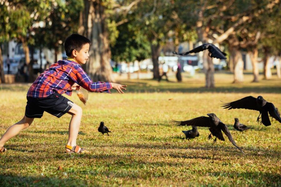 The True Essence of Colombo:Private Highlights & Hidden Gems - Good To Know