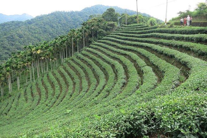 Thousand Island Lake and Pinglin Tea Plantation From Taipei