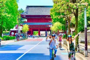 Tokyo Bike Tour With Meiji Jingu Shrine, Aoyama Cemetery Good To Know