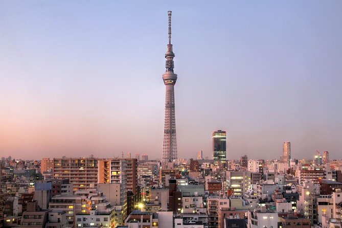 Tokyo by Bike: Skytree, Kiyosumi Garden and Sumo Stadium