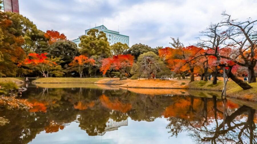 Tokyo: Full-Day Japanese Garden Private Guided Tour - Good To Know