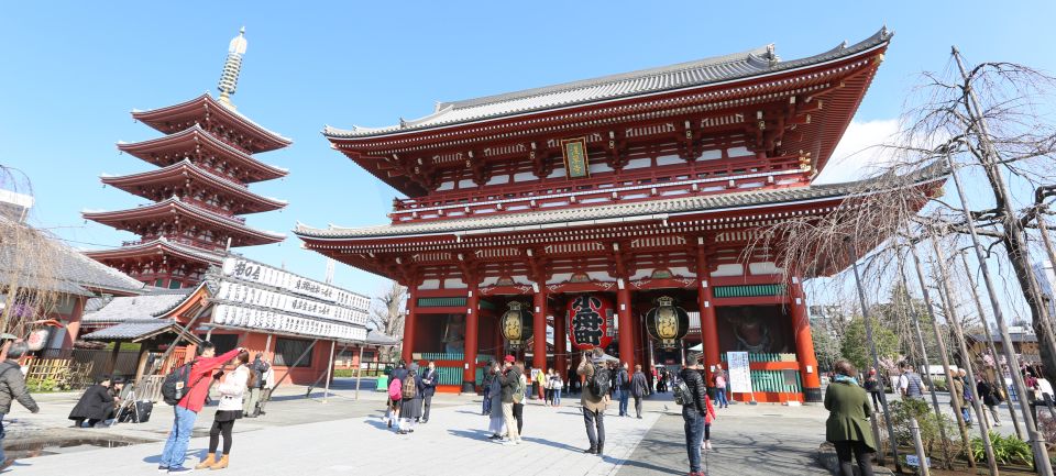 Tokyo: Full-Day Private Tour With Nationally-Licensed Guide - Good To Know