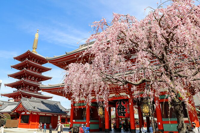 Tokyo Full-Day Sightseeing Tour by Coach With Lunch Option