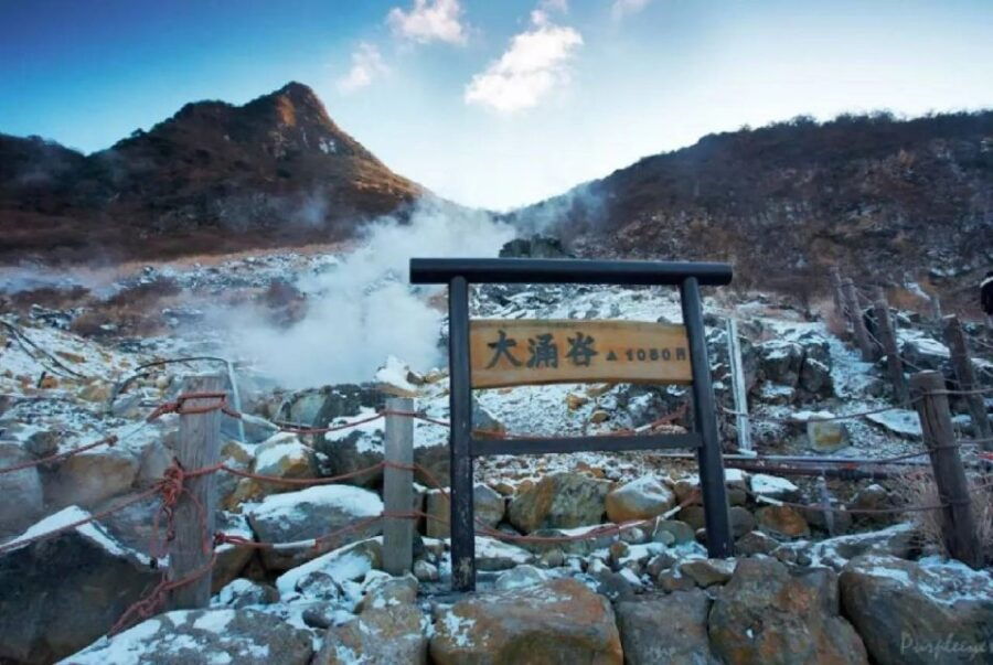 Tokyo: Mt Fuji Area, Lake Ashi, Owakudani, Onsen 1-Day Tour - Good To Know
