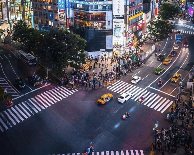 Tokyo: Private Customizable Tour With Transfer - Good To Know