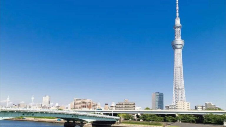 Tokyo: Private Half-Day Tour With Expert Local