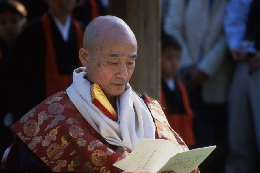 Tokyo Private Photo Tour With a Professional Photographer - Good To Know