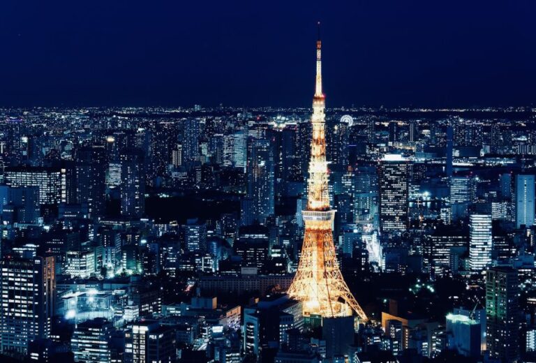 Tokyo Private Sightseeing Customizable Day Tour by Car & Van