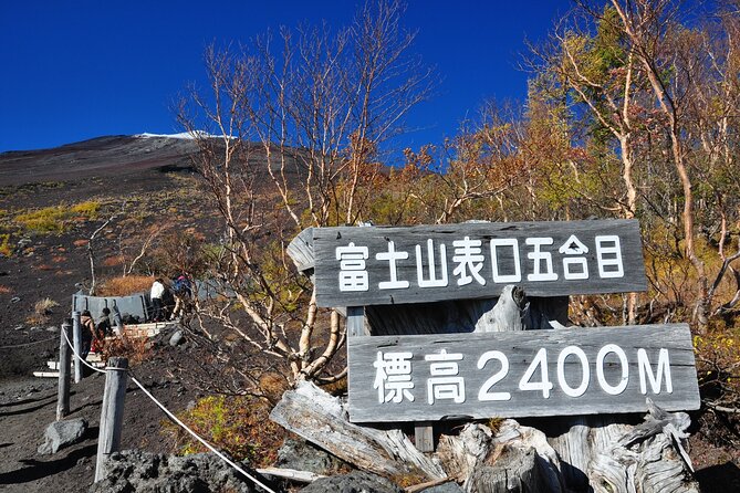 Tokyo to Mt Fuji, Oshino Hakkai: 1-Day Group Tour and Shopping
