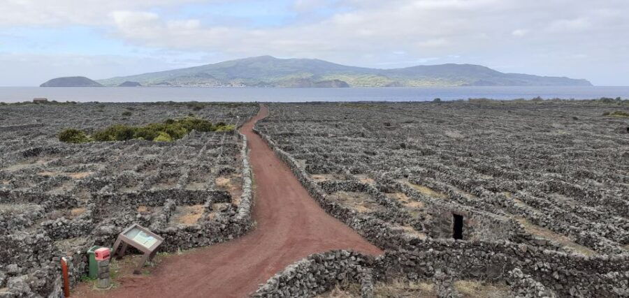 Tours on Pico Island - Cultural and Natural Landscape - Good To Know