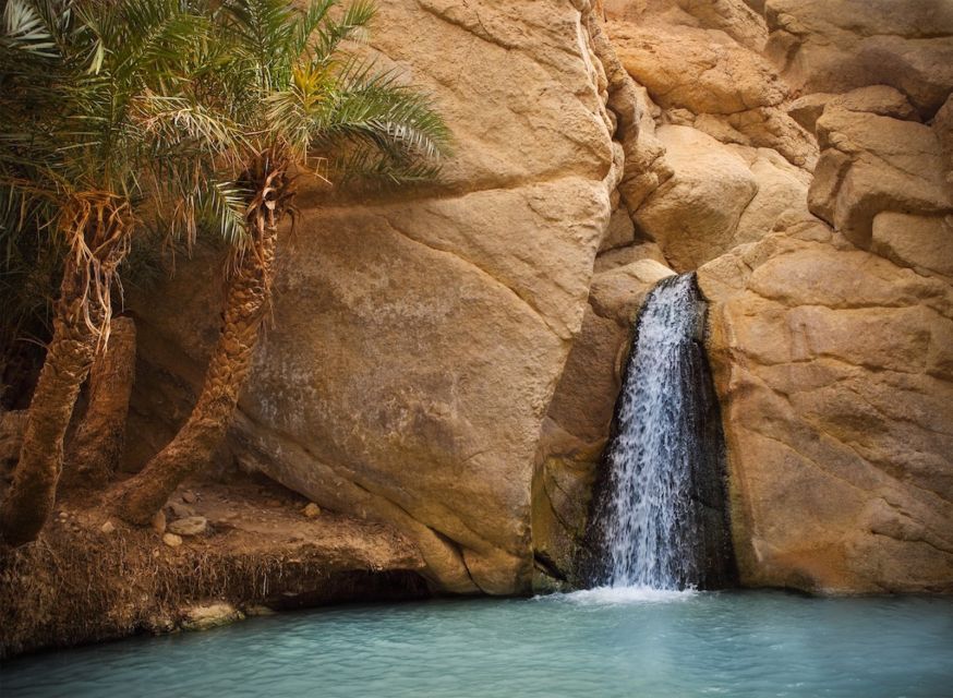 Tozeur: Tamerza, Chebika, and Mides Canyons Half-Day Trip - Activity Details and Booking Information