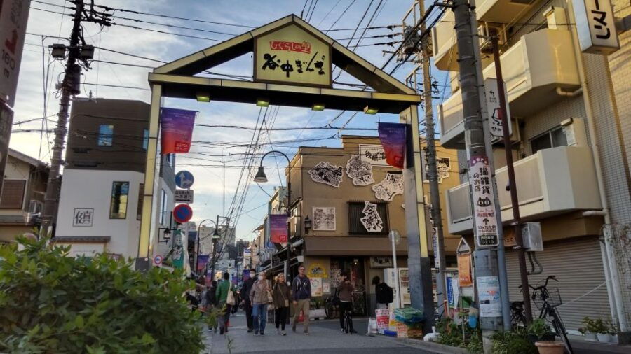 Traditional Tokyo: Full Day Tour of Tokyo's Historical Sites - Good To Know