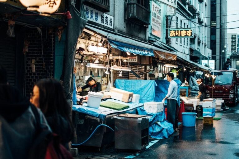 Tsukiji: Outer Market Walking Tour & Sake Tasting Experience