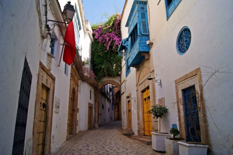 Tunis Port: Medina and City Tour for Cruise Ship Passengers - Good To Know