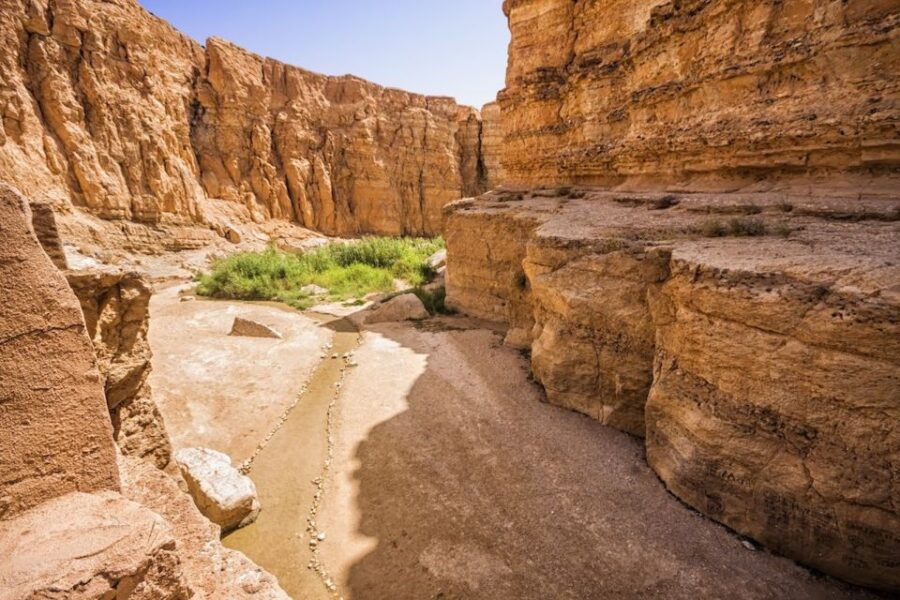 Tunisia: 5-Day Private Discovery Tour - Good To Know