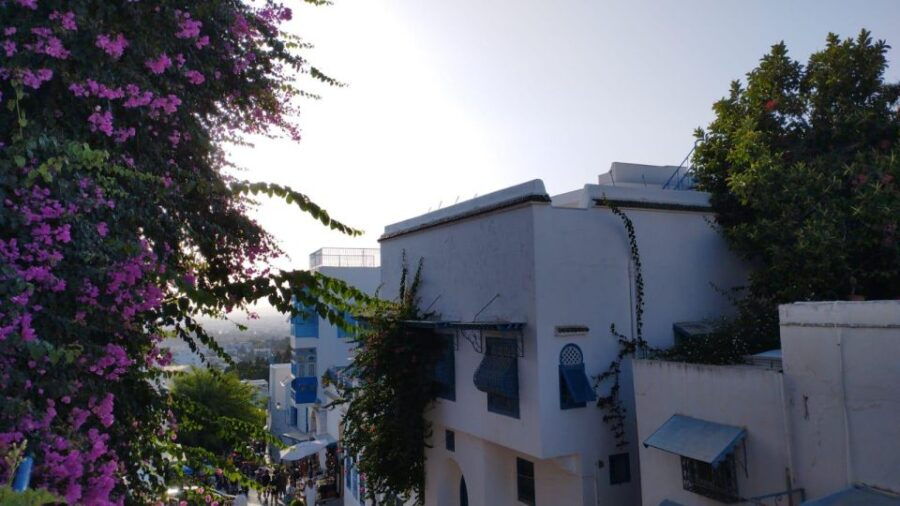 Tunisia Tour 8 Days