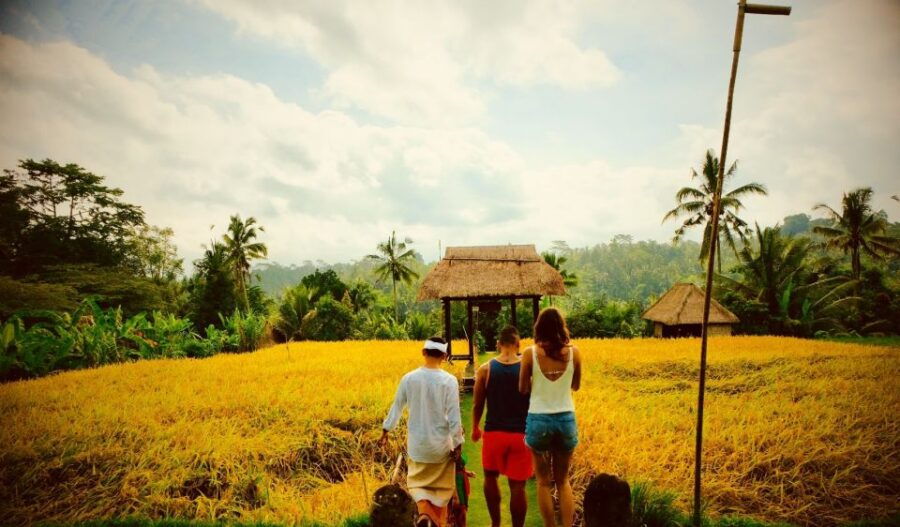 Ubud: Half-Day Semi-Customized Private-Tour With Live Guide - Good To Know
