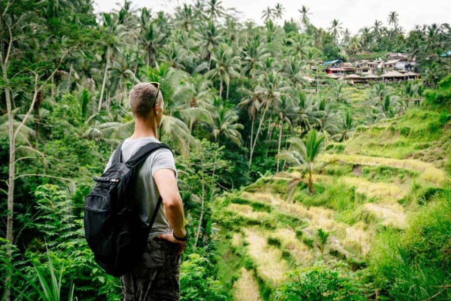 Ubud: Highlights Small Group Guided Tour - Good To Know