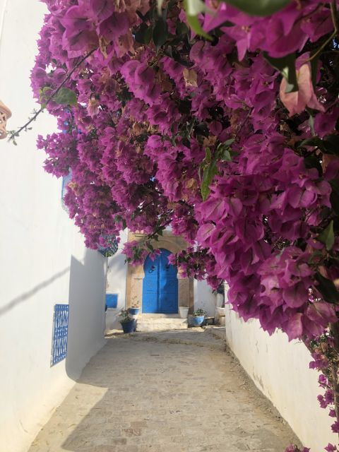 Un Tour De Journée Complète De Carthage, Sidi Boussaid Et La Médina De Tunis.