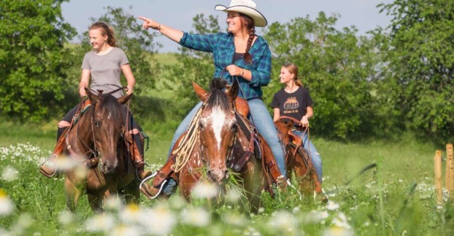 Upper Austria: Landscape, Forests, Meadows - Good To Know