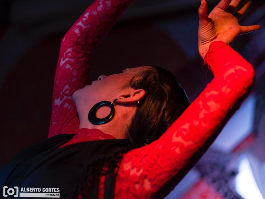 Valencia: Flamenco at Toro Y La Luna With Drinks or Dinner - Good To Know