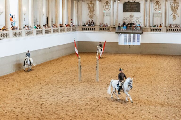 Vienna: Escuela De Equitación Española Entrenamiento