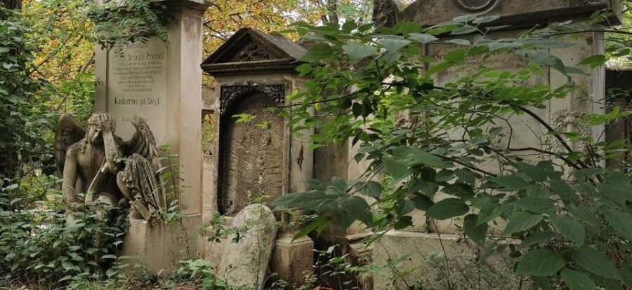 Vienna: Private Walking Tour St. Marx Cemetery - Mozart Tomb - Good To Know